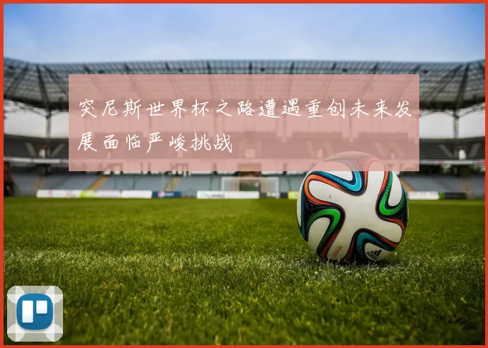 突尼斯世界杯之路遭遇重创未来发展面临严峻挑战