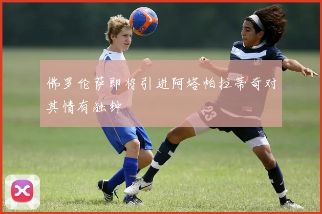 佛罗伦萨即将引进阿塔帕拉蒂奇对其情有独钟