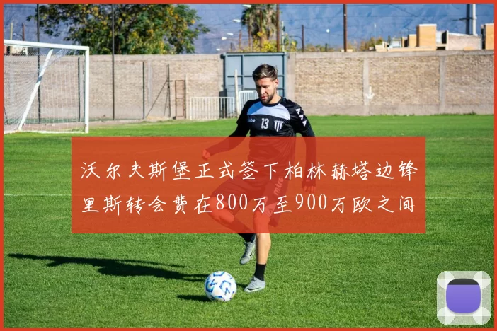 沃尔夫斯堡正式签下柏林赫塔边锋里斯转会费在800万至900万欧之间